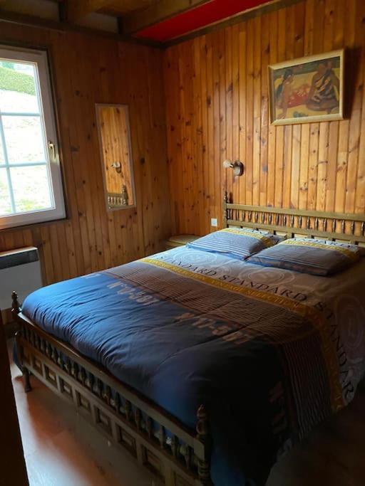 Le P'Tit Caribou, Pres Des Pistes Villa Gerardmer Ngoại thất bức ảnh